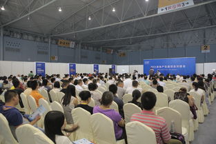 2016成都建博會 現場亮點紛呈，6月將上演重頭戲